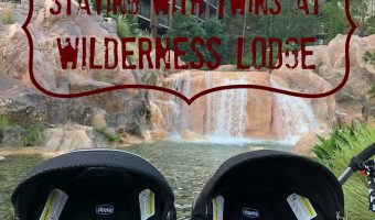WILDERNESS LODGE WITH THE TWINS