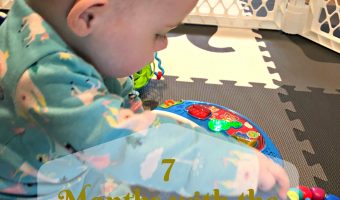 TWINS UPDATE: SEVEN MONTHS IN HEAVEN