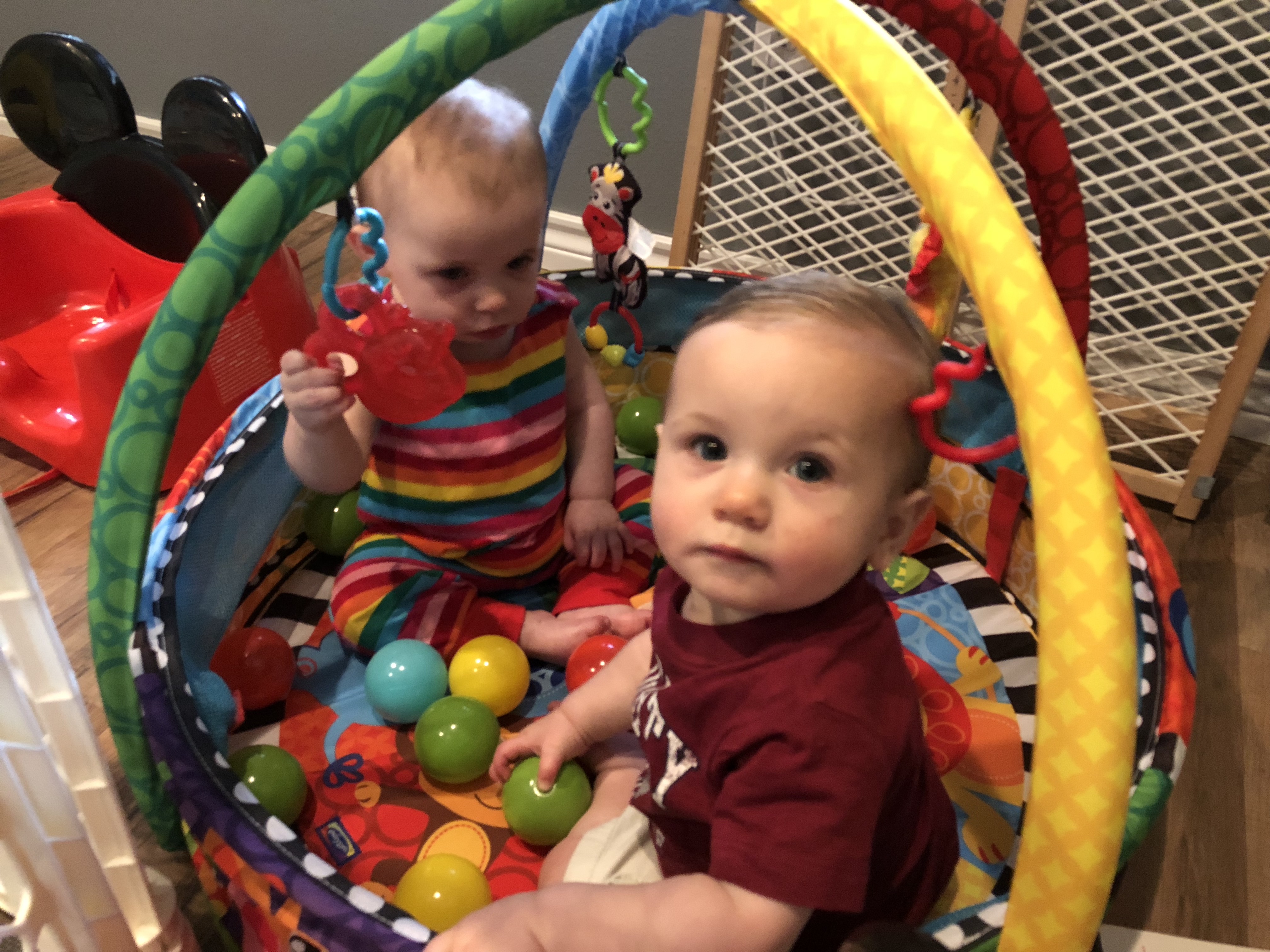 babies in ball pit