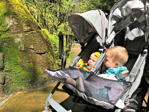 babies watching animals