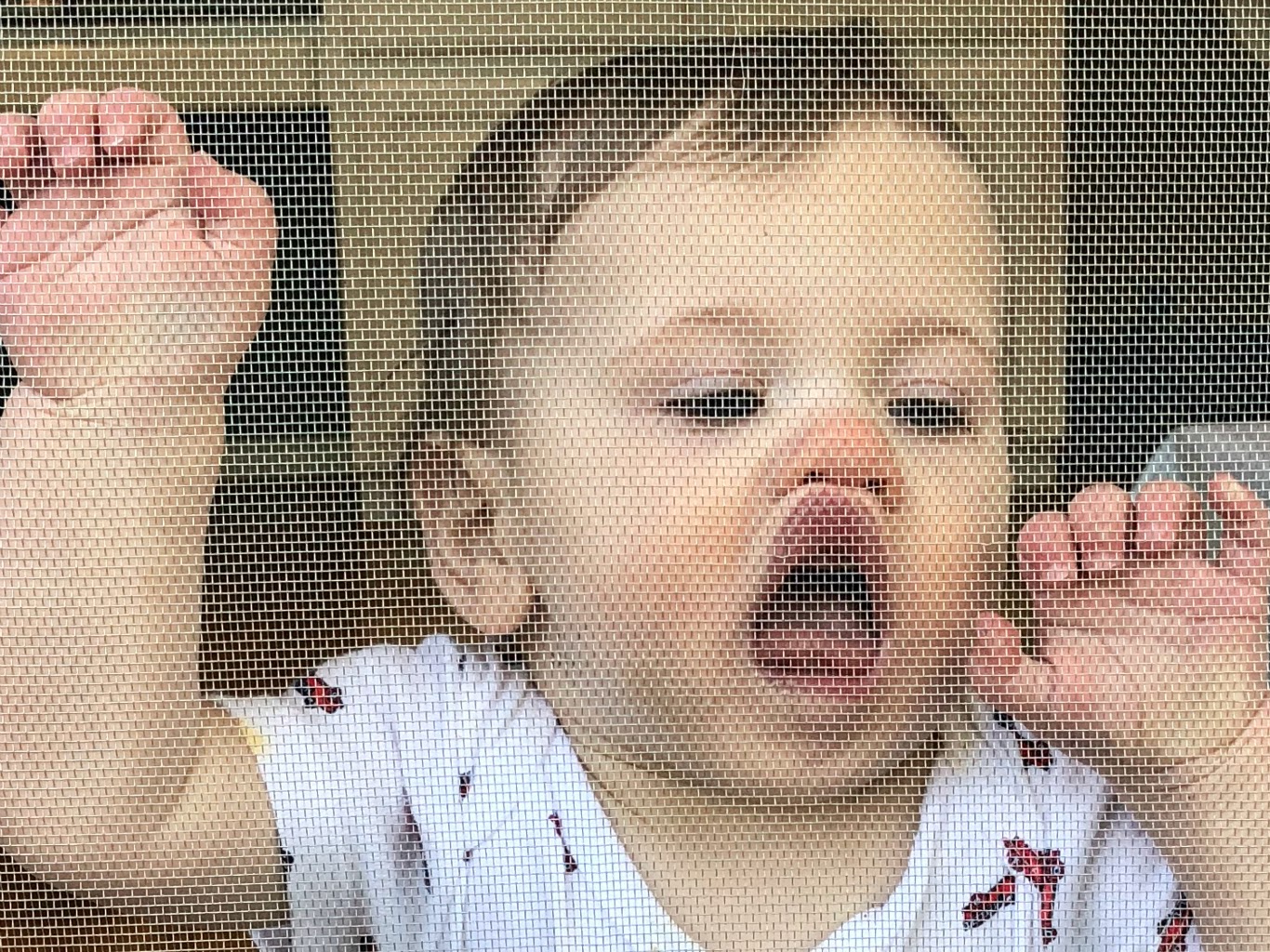 baby mouth on screen door