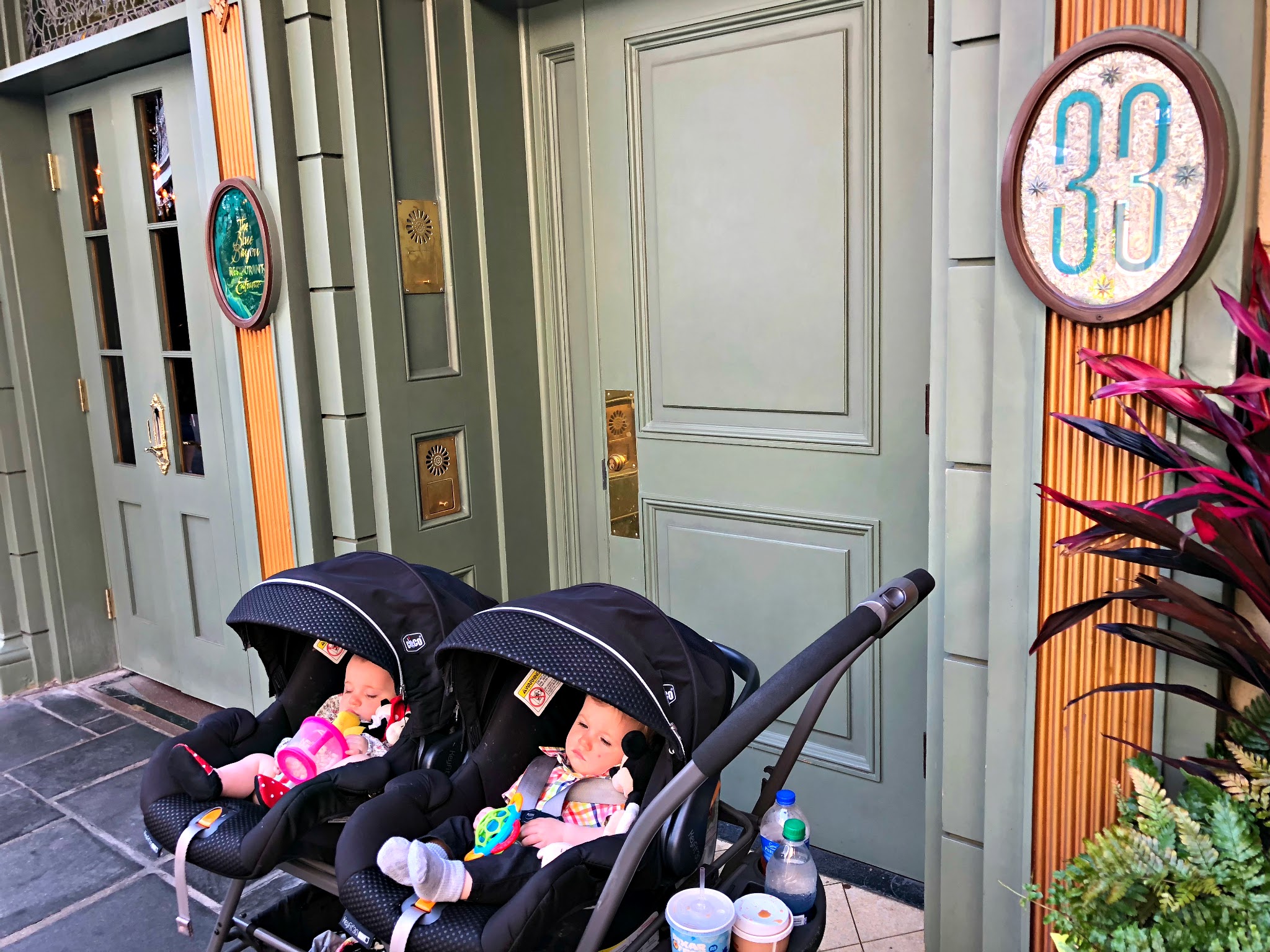 twin babies in New Orleans square